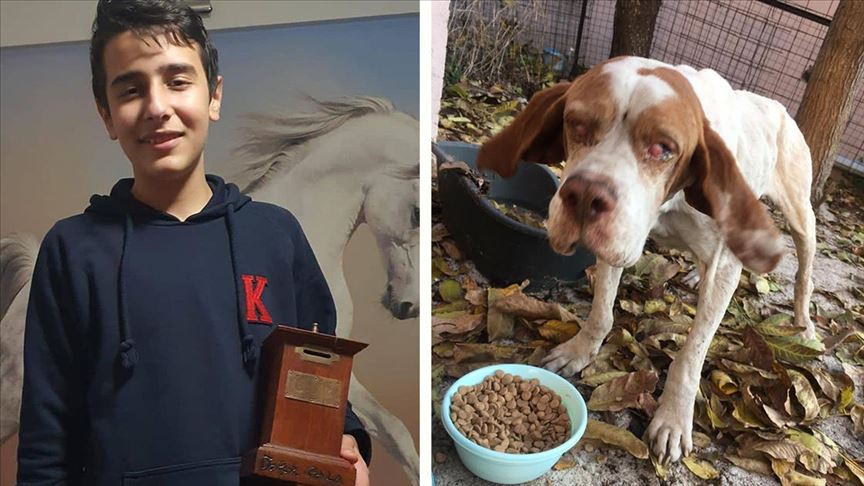 Gözleri görmeyen sokak köpeği ‘Cangöz’ün tedavisi için kumbarasındaki paraları bağışladı