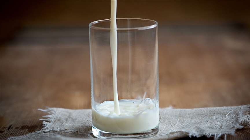 Keçi sütü içerisinde Kovid-19’a karşı etkili protein keşfedildi