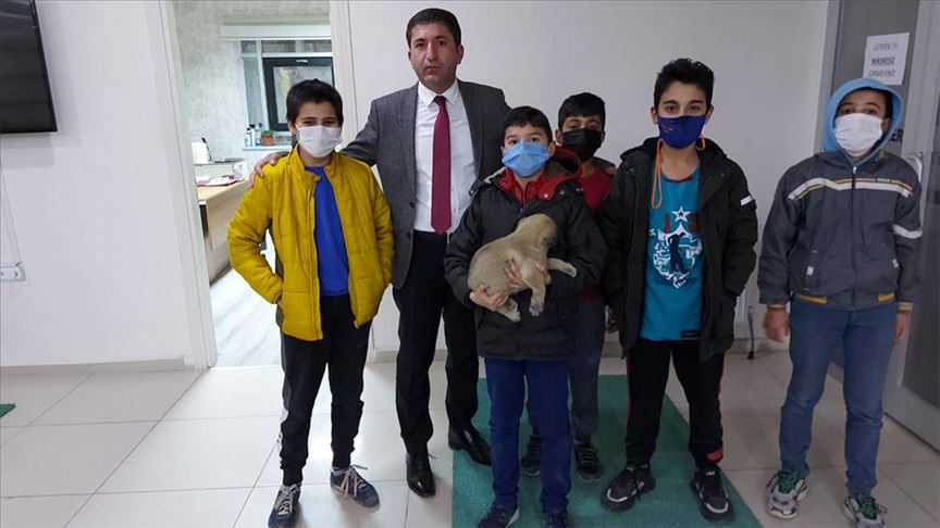 Sivas’ta çocukların yaralı köpek için verdiği çaba yürekleri ısıttı