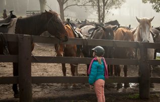 Çocuklara uygun at ve midilli türleri nelerdir?  