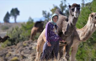 Anadolu’nun bin yıllık konargöçerlik kültürünü Sarıkeçili Yörükleri sürdürüyor