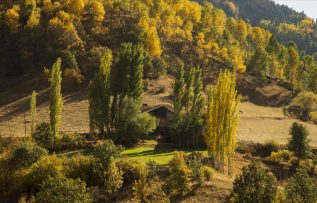 Şebinkarahisar’da ‘sarı sonbahar’ şöleni