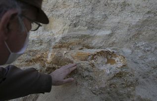 Edirne’de mamut fosili bulundu