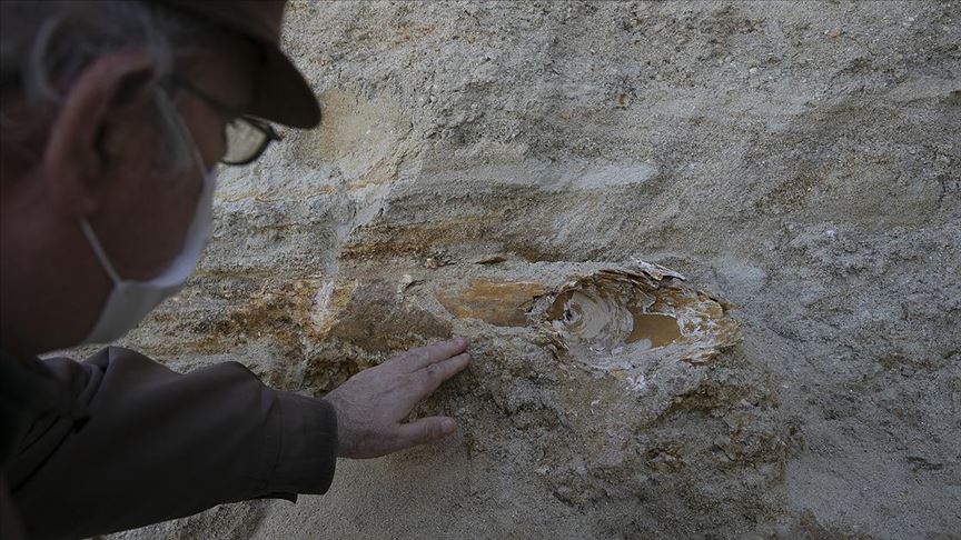 Edirne’de mamut fosili bulundu