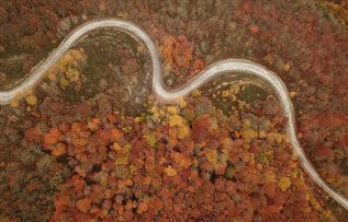 Istranca ormanlarında sonbaharın son demleri hayran bırakıyor