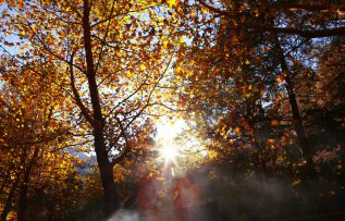 Konya’daki Kuğulu ve Japon Parkı hazan renklerine büründü
