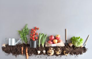 Organik gıda satın alırken nelere dikkat edilmeli?