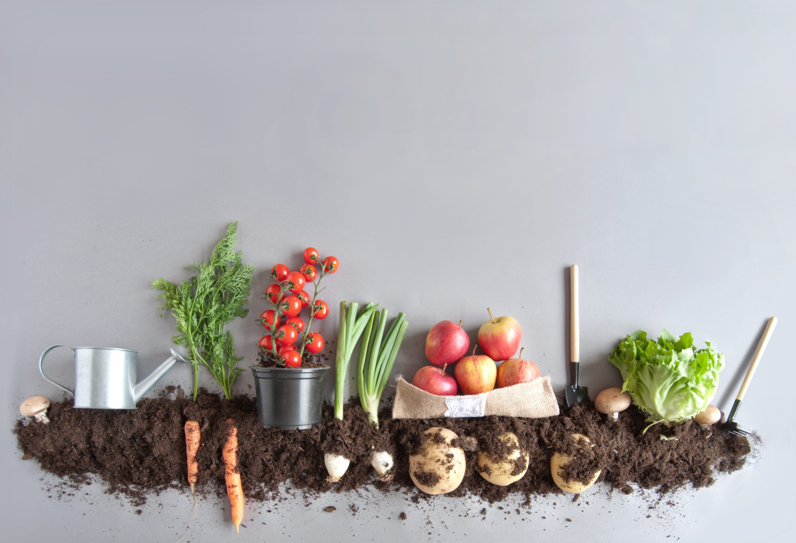 Organik gıda satın alırken nelere dikkat edilmeli?