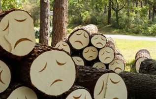 Rüyada Ağaç Kesmek