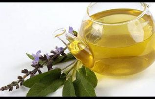 Rüyada Adaçayı Görmek