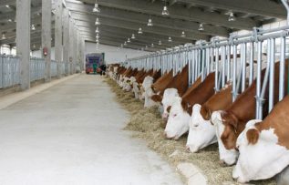 Rüyada Ahır Görmek