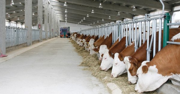 Rüyada Ahır Görmek