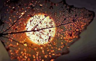 Rüyada Aişe Görmek