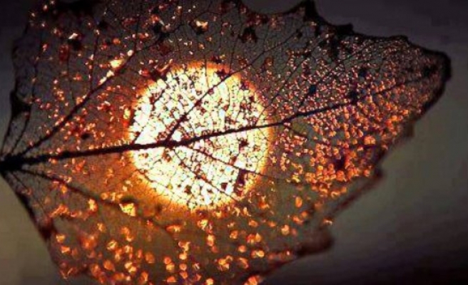 Rüyada Aişe Görmek