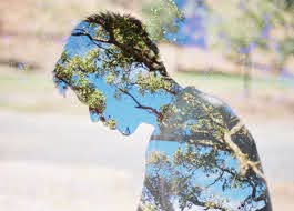 Rüyada Akıl Görmek