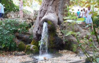Rüyada Akar Çeşme ve Akarsu Görmek