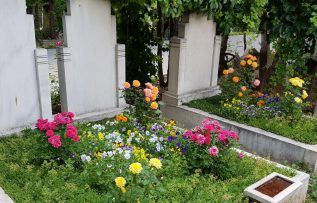 Rüyada Annenin Öldüğünü Görmek