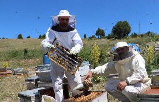 Rüyada Arıcı Görmek