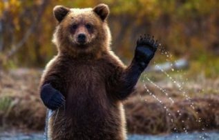 Rüyada Aralık Ayını Görmek