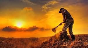 Rüyada Ariyet Görmek