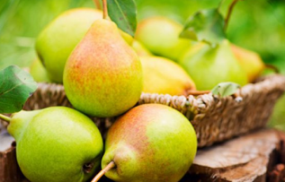 Rüyada Armut Görmek