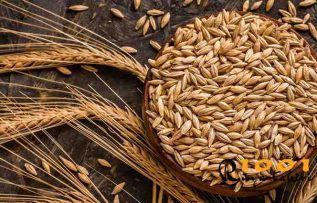 Rüyada Arpa Görmek