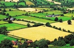 Rüyada Arsa Görmek