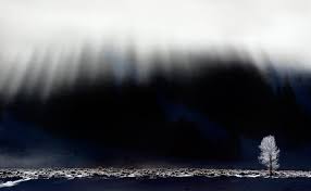 Rüyada Asalet Görmek