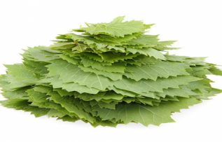 Rüyada Asma Yaprağı Görmek