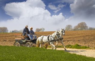 Rüyada At Arabasına Binmek