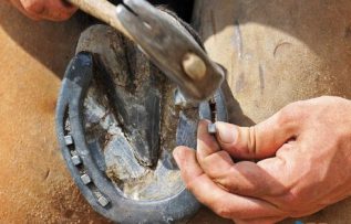 Rüyada At Nalı Görmek