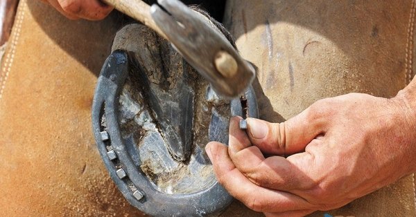 Rüyada At Nalı Görmek