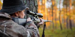 Rüyada Av Avladığını Görmek