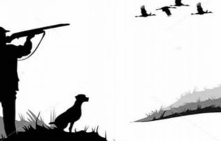 Rüyada Avlandığını Görmek