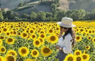 Rüyada Ayçiçeği Görmek