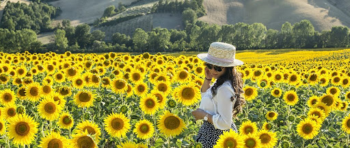 Rüyada Ayçiçeği Görmek