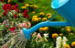 Rüyada Bahçe Sulamak