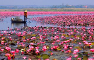 Rüyada Bahar Çiçekleri Görmek