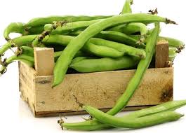 Rüyada Bakla Görmek