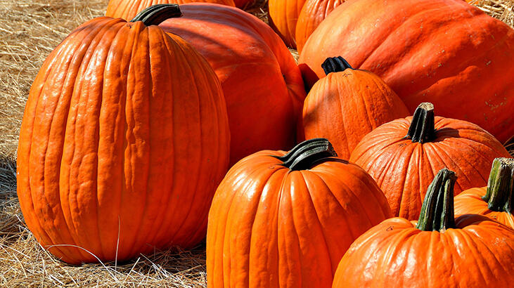 Rüyada Balkabağı Görmek