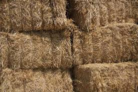 Rüyada Balya Görmek