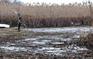 Rüyada Bataklık Görmek