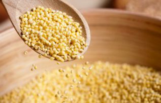 Rüyada Beyaz Darı Görmek