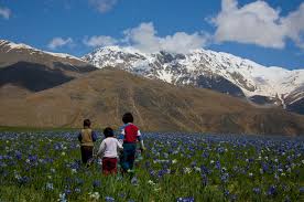 Rüyada Bozkır Görmek