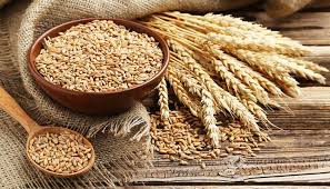 Rüyada Buğday Satıcısı Görmek