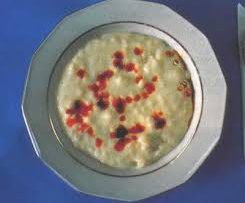 Rüyada Bulama Görmek