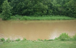 Rüyada Bulanık su görmek