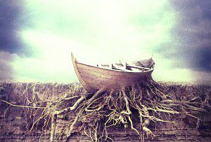 Rüyada Cephane Görmek