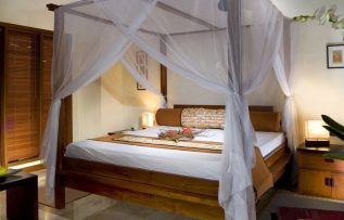 Rüyada Cibinlik Görmek