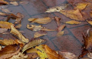 Rüyada Cinayet Görmek